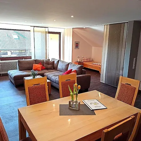Fewo Panorama Apartment Gundelsheim (Baden-Wurttemberg)