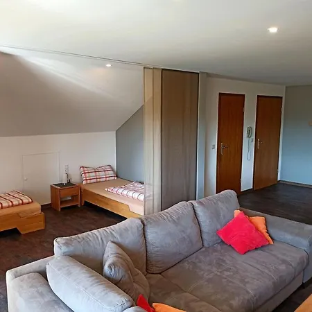Fewo Panorama Apartment Gundelsheim (Baden-Wurttemberg)