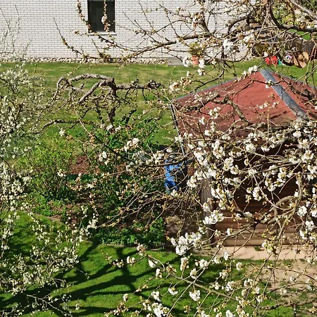 Apartment Fewo Panorama Gundelsheim (Baden-Wurttemberg)