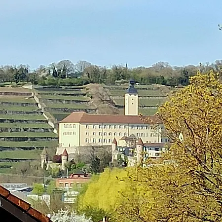 Panorama Gundelsheim (Baden-Wurttemberg)
