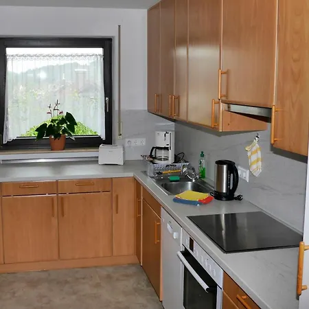 Fewo Panorama Apartment Gundelsheim (Baden-Wurttemberg)